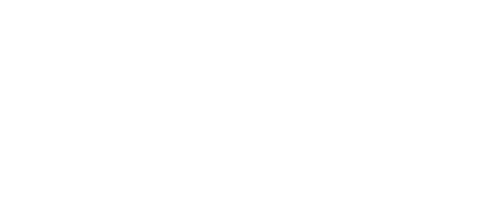 Meridiana Nexus